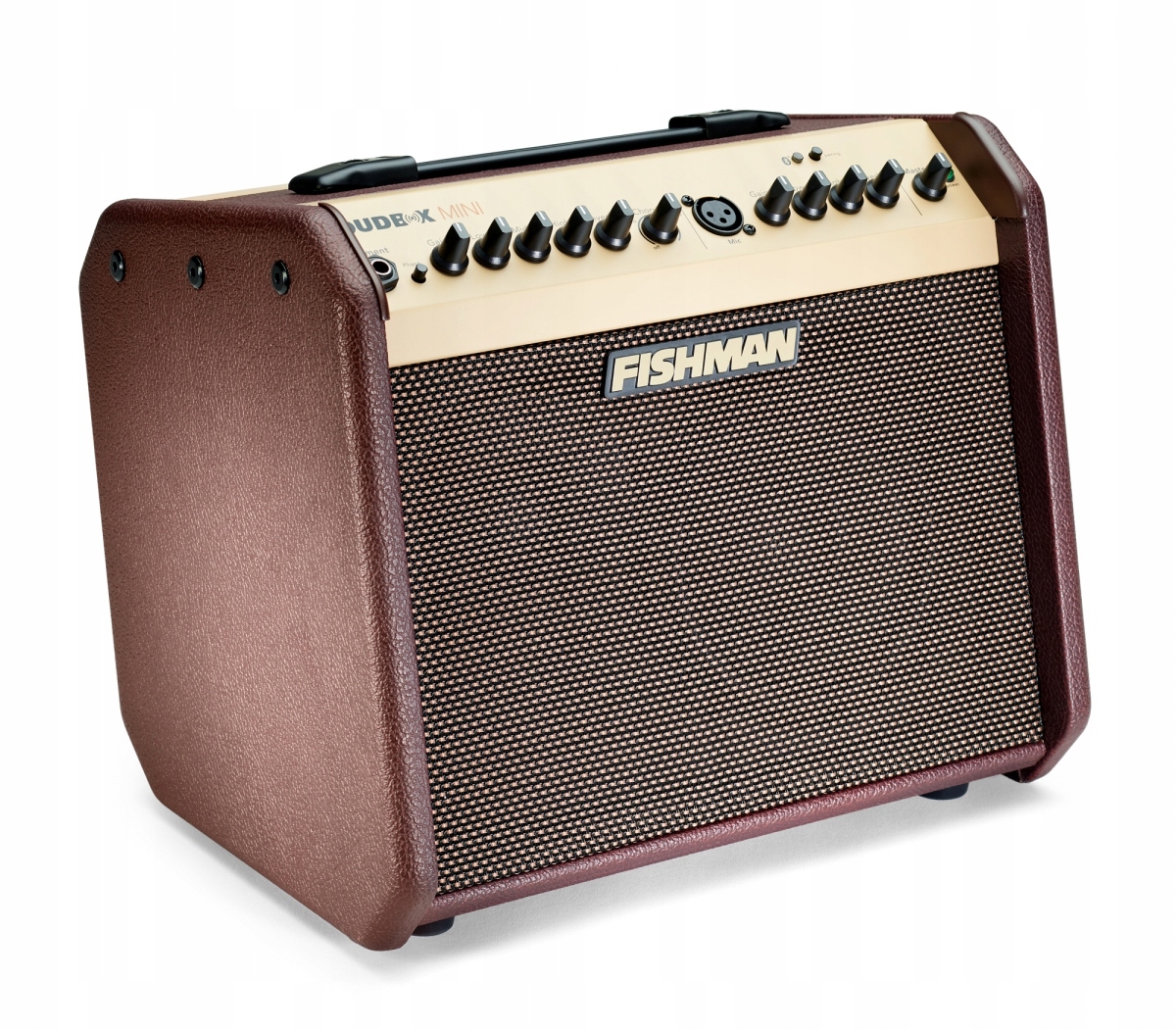 Fishman Loudbox Mini Bluetooth combo akustyczne Rodzaj combo