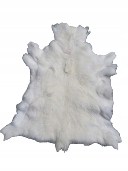 Koža zo sobov Unikat Albinos Prírodná koža