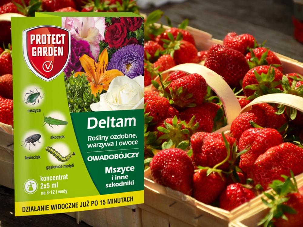 DELTAM INSEKTYCYD OWADOBÓJCZY środek na mszyce gąsienice szkodniki 2x5ml Pojemność 0.01 l