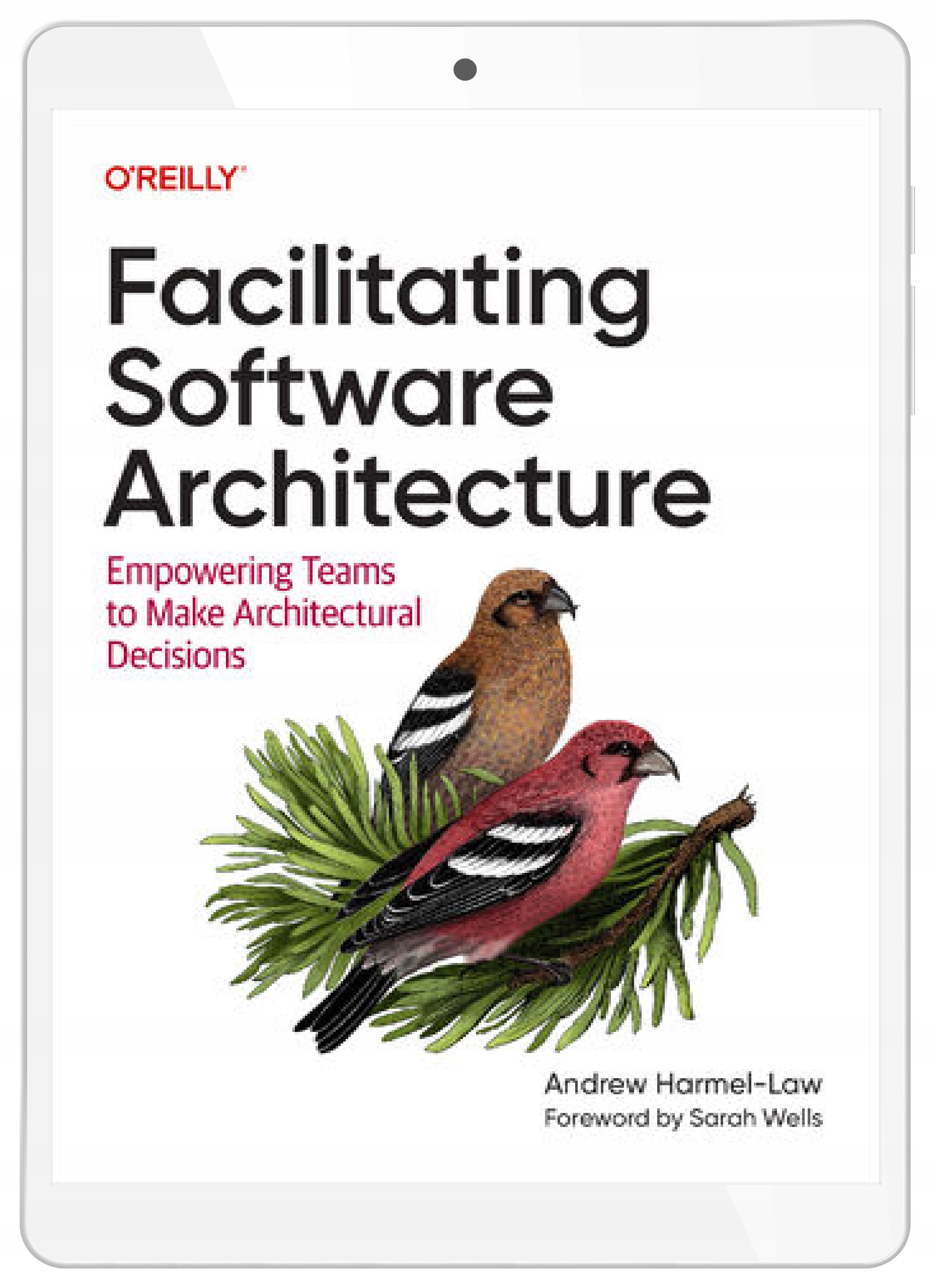 Facilitating Software Architecture