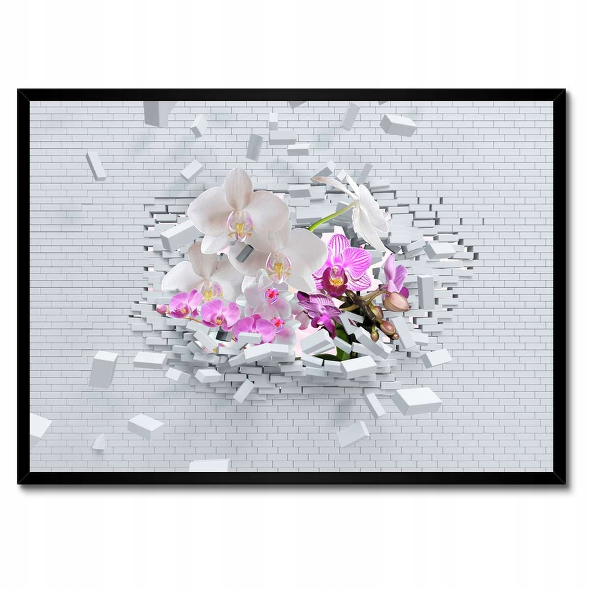 Plakáty v rámu 70x50 Orchidejem do zdi Květiny