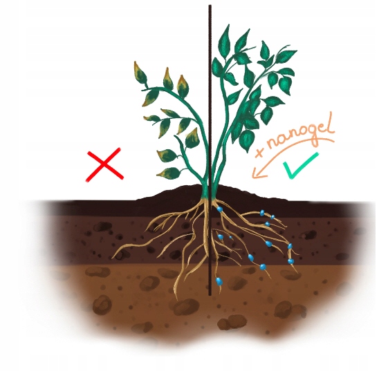 AgroNanoGel Basic 1 kg Producent inna