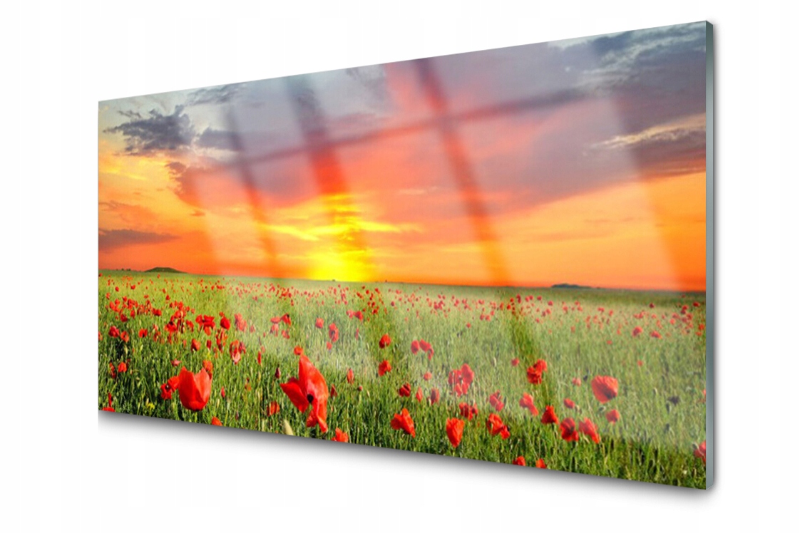 

Panel szklany Płytka Maki Słońce Łąka 100x50