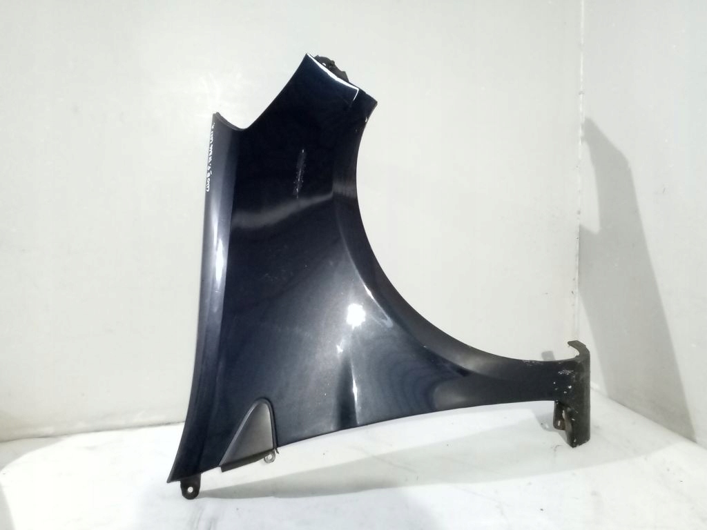 Renault Clio III fender right right side TEB66