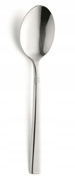 AMEFA 12 SZTUĆCE PALMON ŁYŻECZKI HERBATY ZESTAW Liczba elementów w zestawie 12