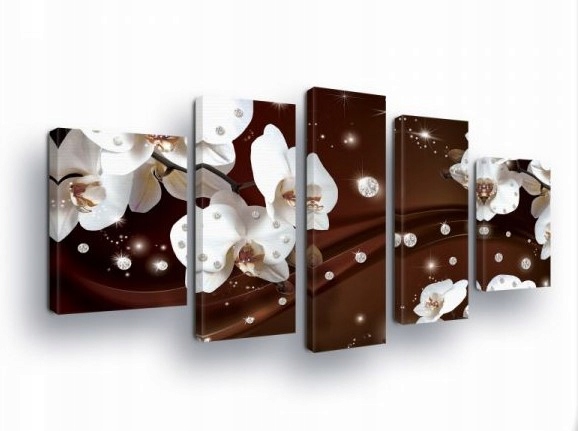 Obraz 170x100 Orchidea biele kvety lesk luxus elegancia moderný