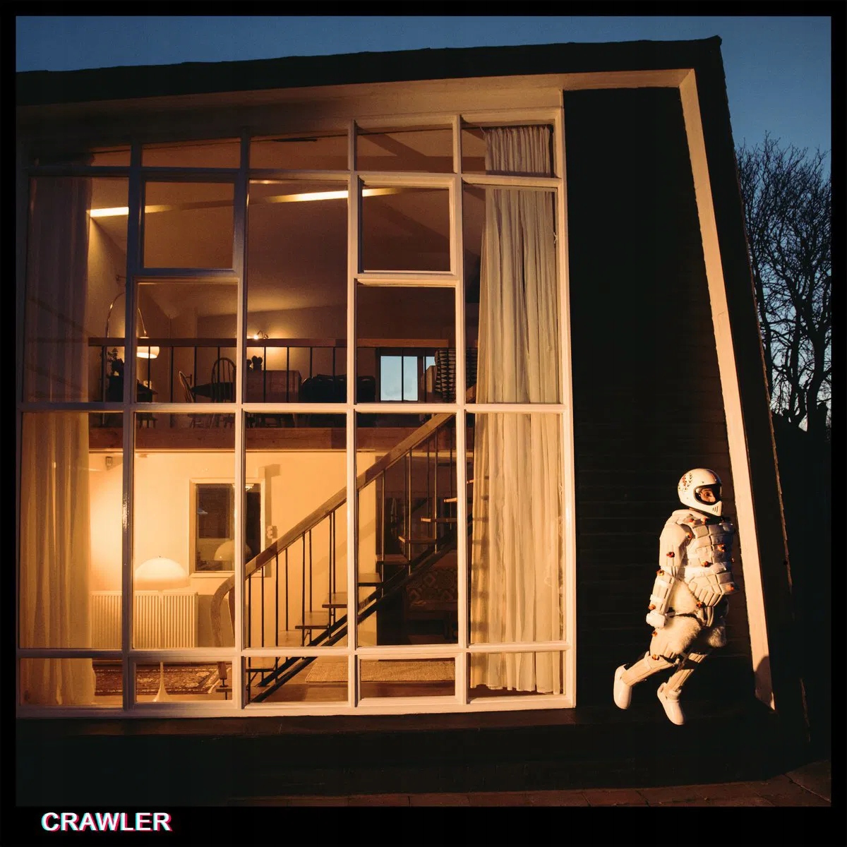 Idles: Crawler Vinyl (lp)