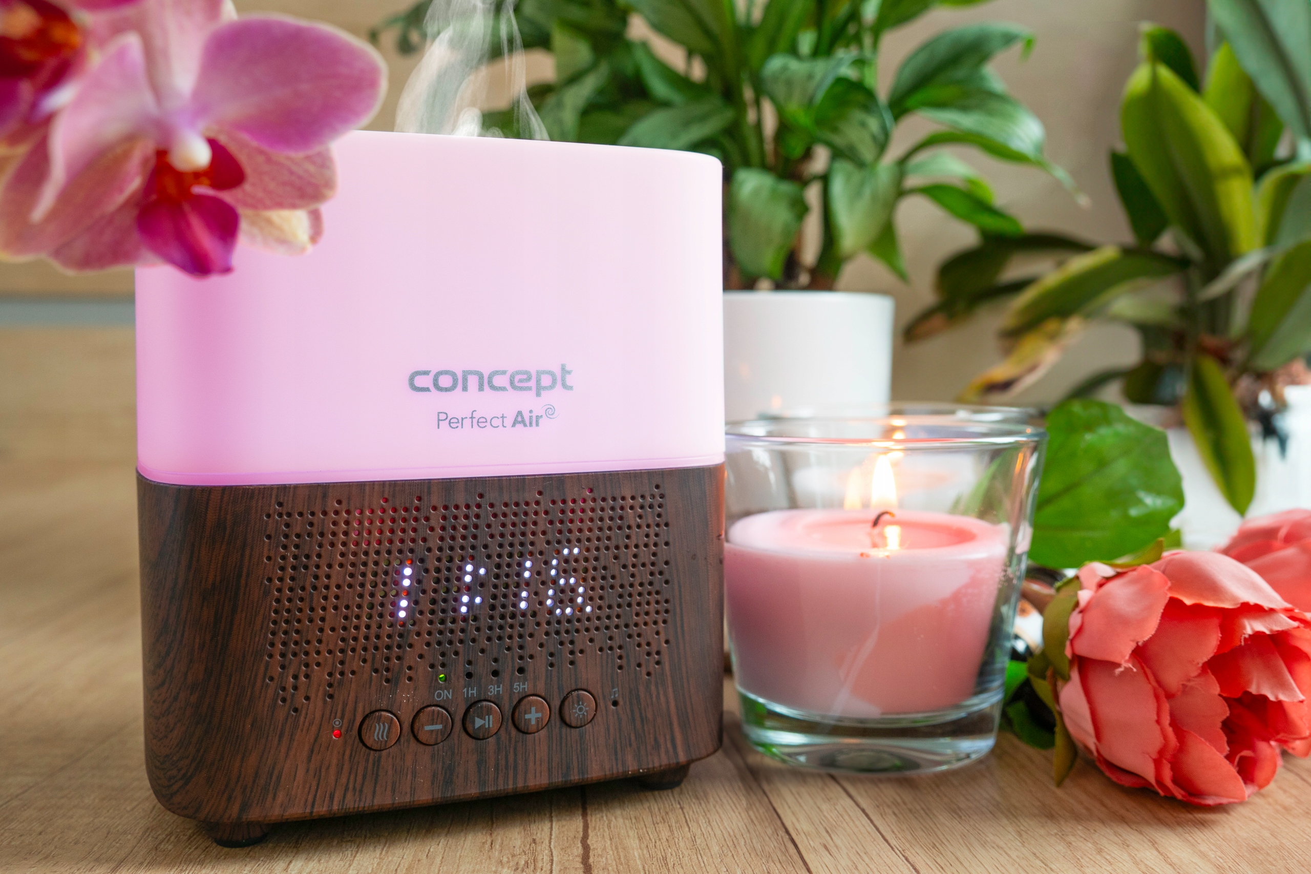 Dyfuzor zapachu Concept PERFECT Air Dark Wood DF2010 Kod producenta DF2011