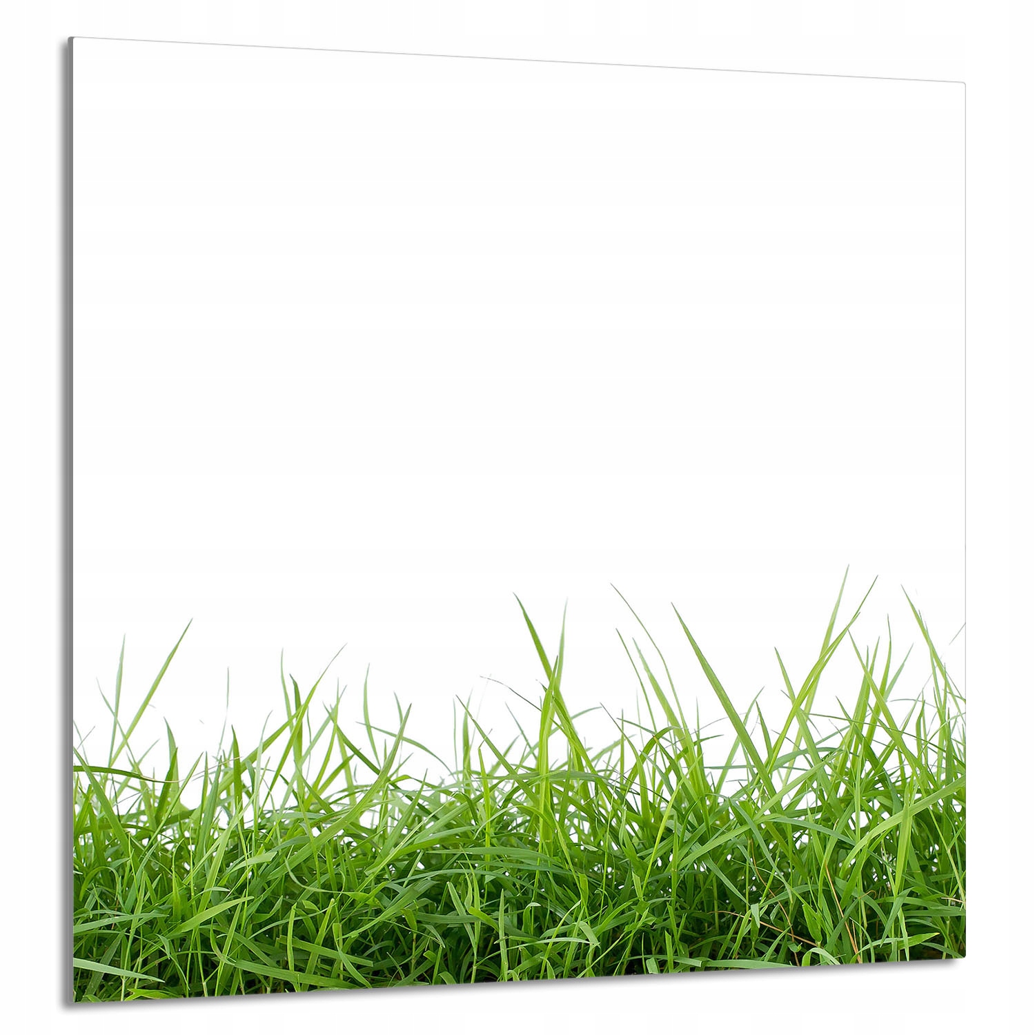 Skleněný Panel Do Kuchyně 60x65 Bílá Tvrzené Sklo