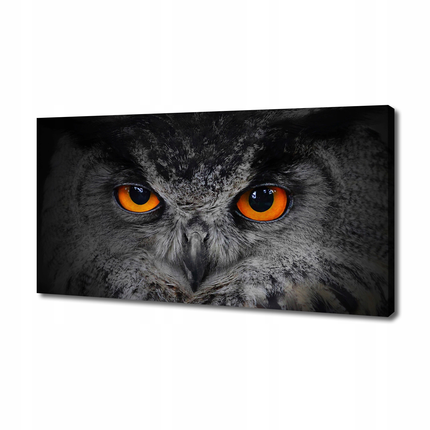 

Foto obraz canvas Diabelskie oczy sowy 140x70 cm