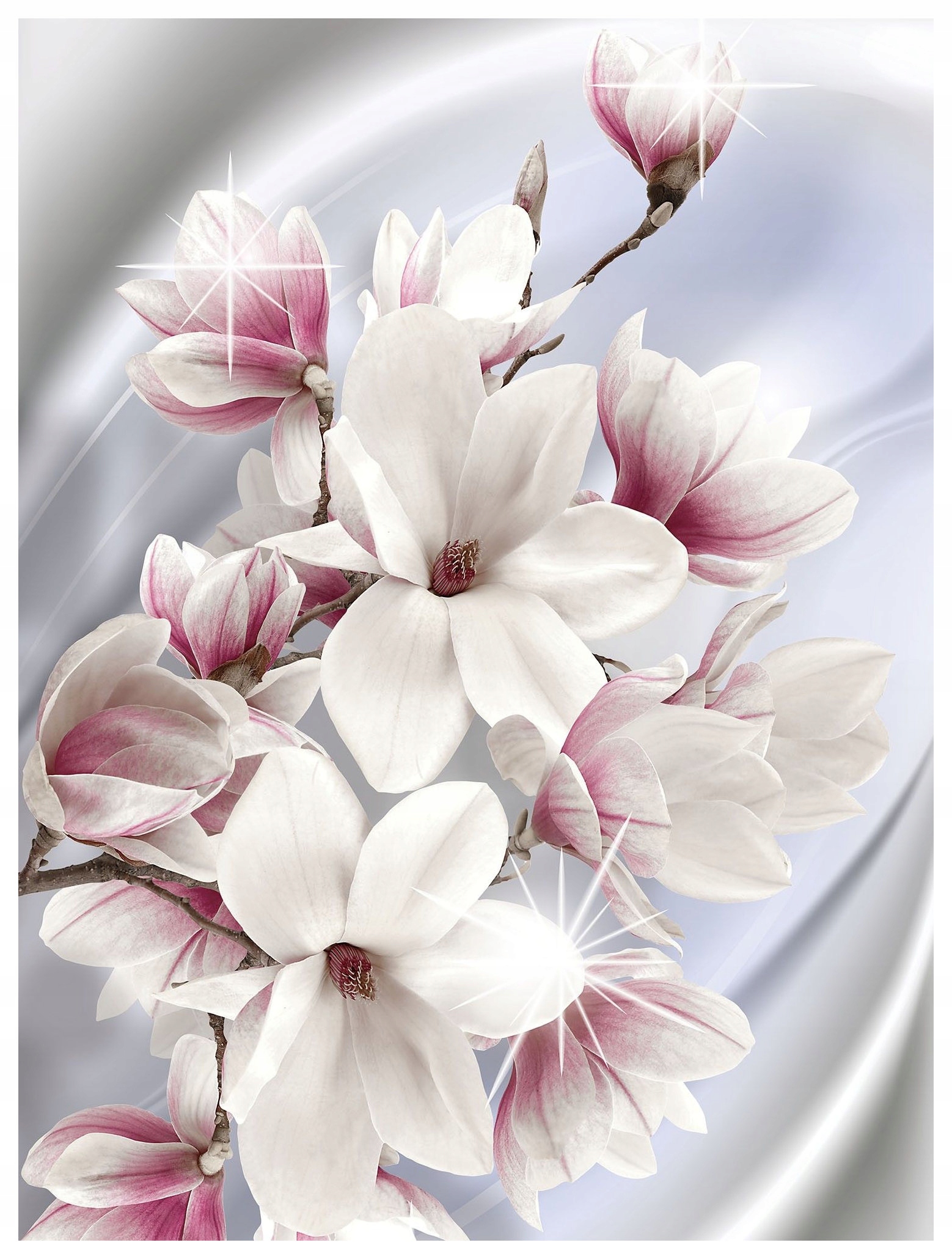 Fototapeta Magnolie vinylová jemnost elegance jaro 184x254 lepidlo