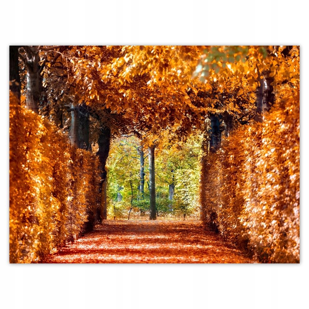 

Plakat 40x30 Pejzaż Krajobraz Widoczek