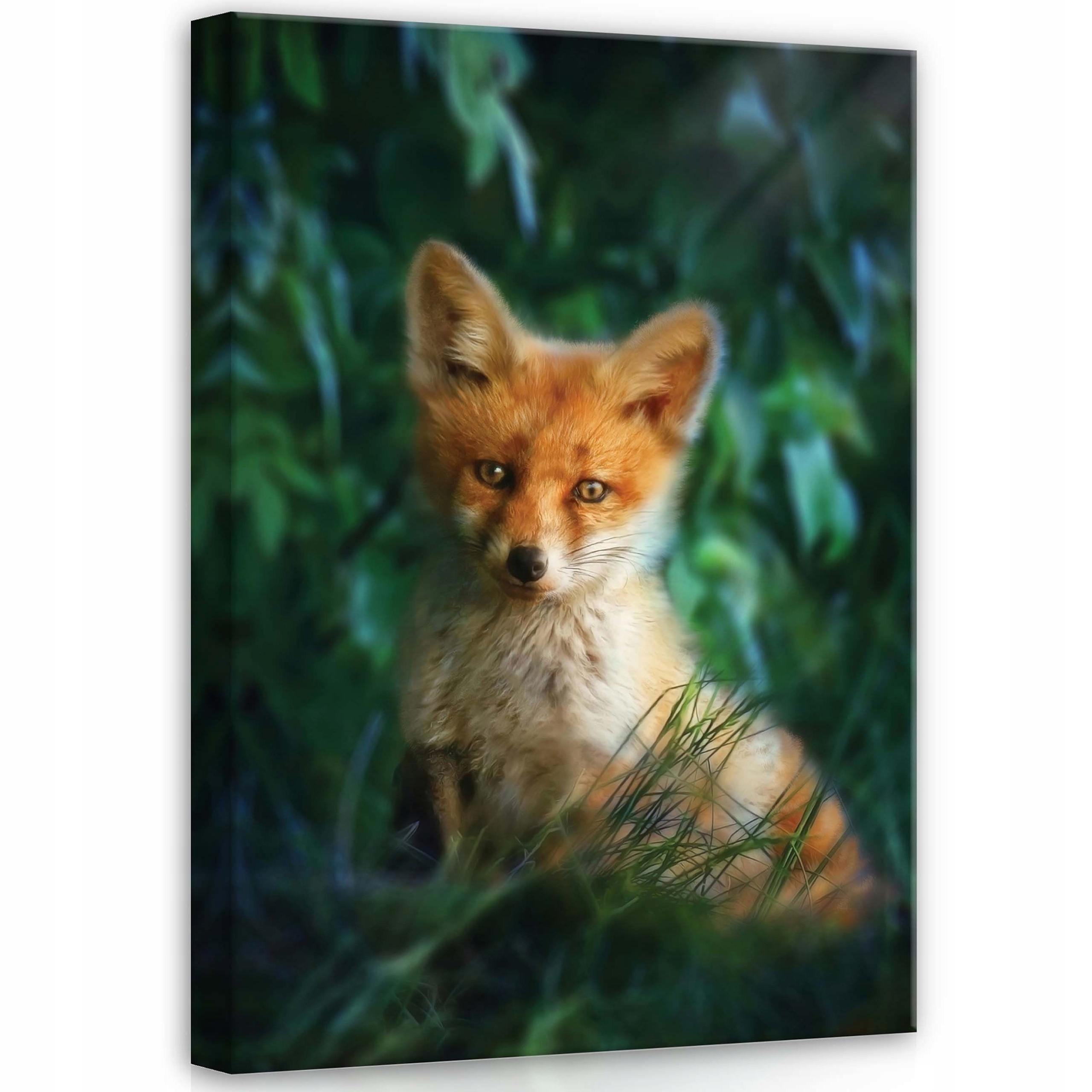 Obraz 50x70 Liška liška divoká příroda les portrét zvířete příroda