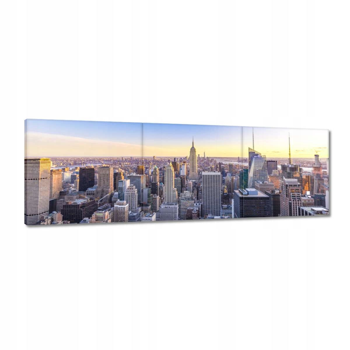 Obrazy 150x50 New York Pohled