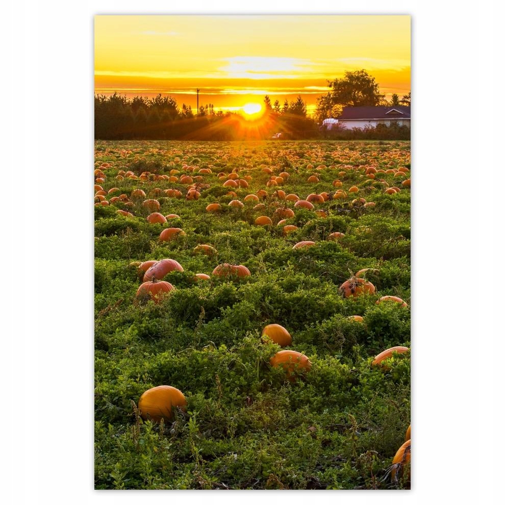 

Plakat 62x93 Pejzaż Krajobraz Widoczek