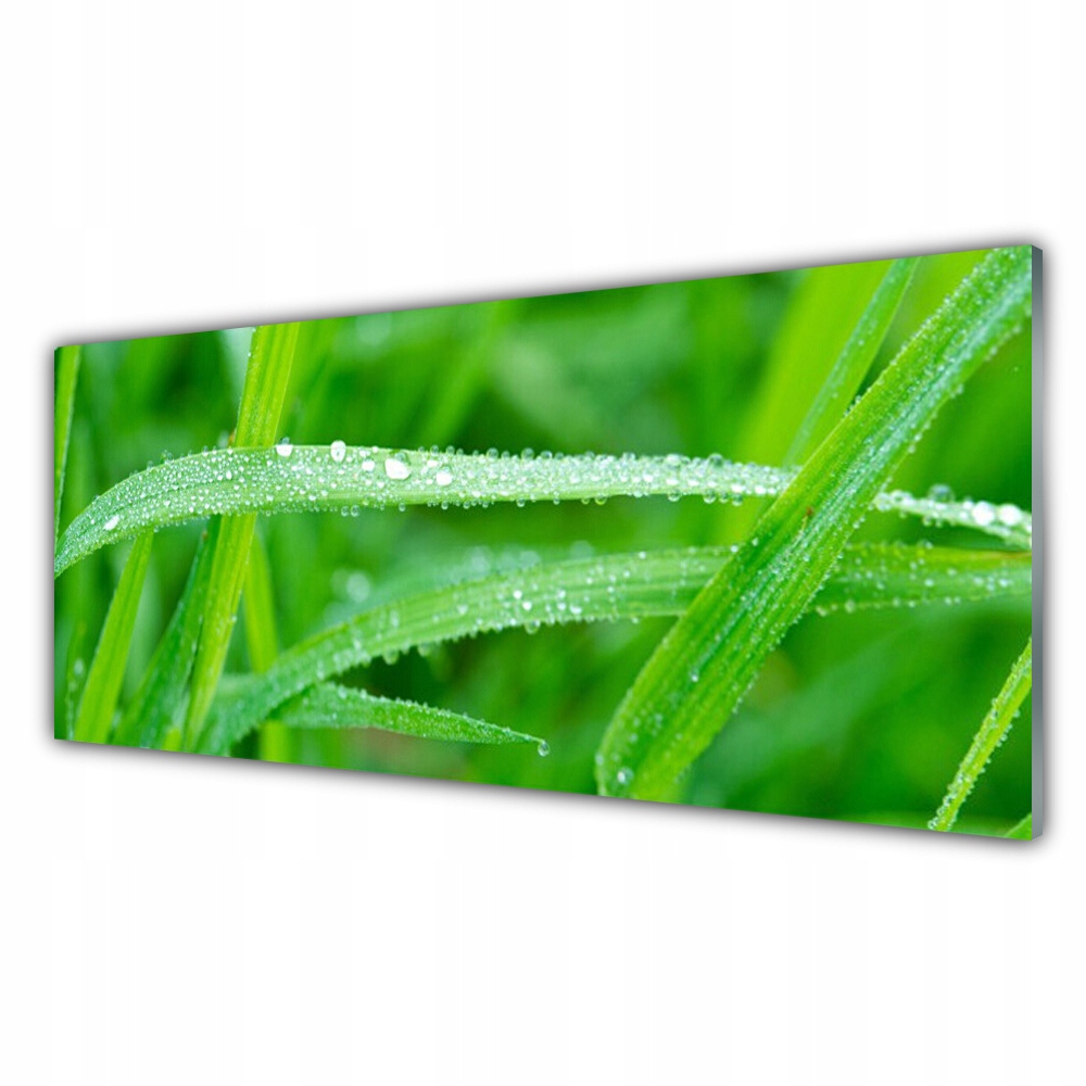 

Obraz na prezent 125x50 Liście Krople Rosy Natura