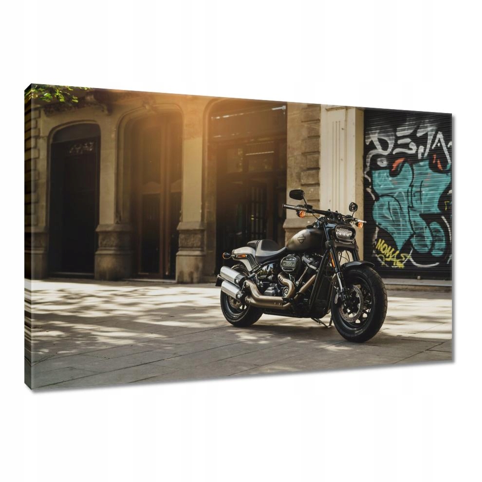 

Obrazy 90x60 Harley Davidson Motocykl