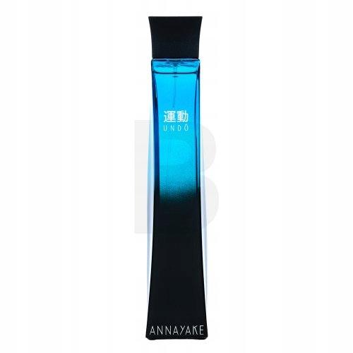 Annayake Undo Pour Homme toaletní voda pro muže 100 ml