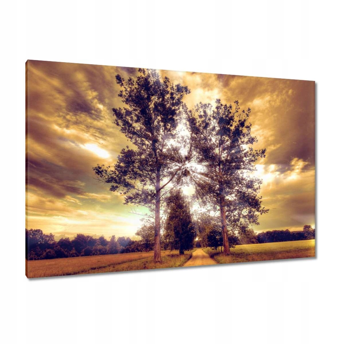 Obrazy 120x80 Venkovská krajina s cestou