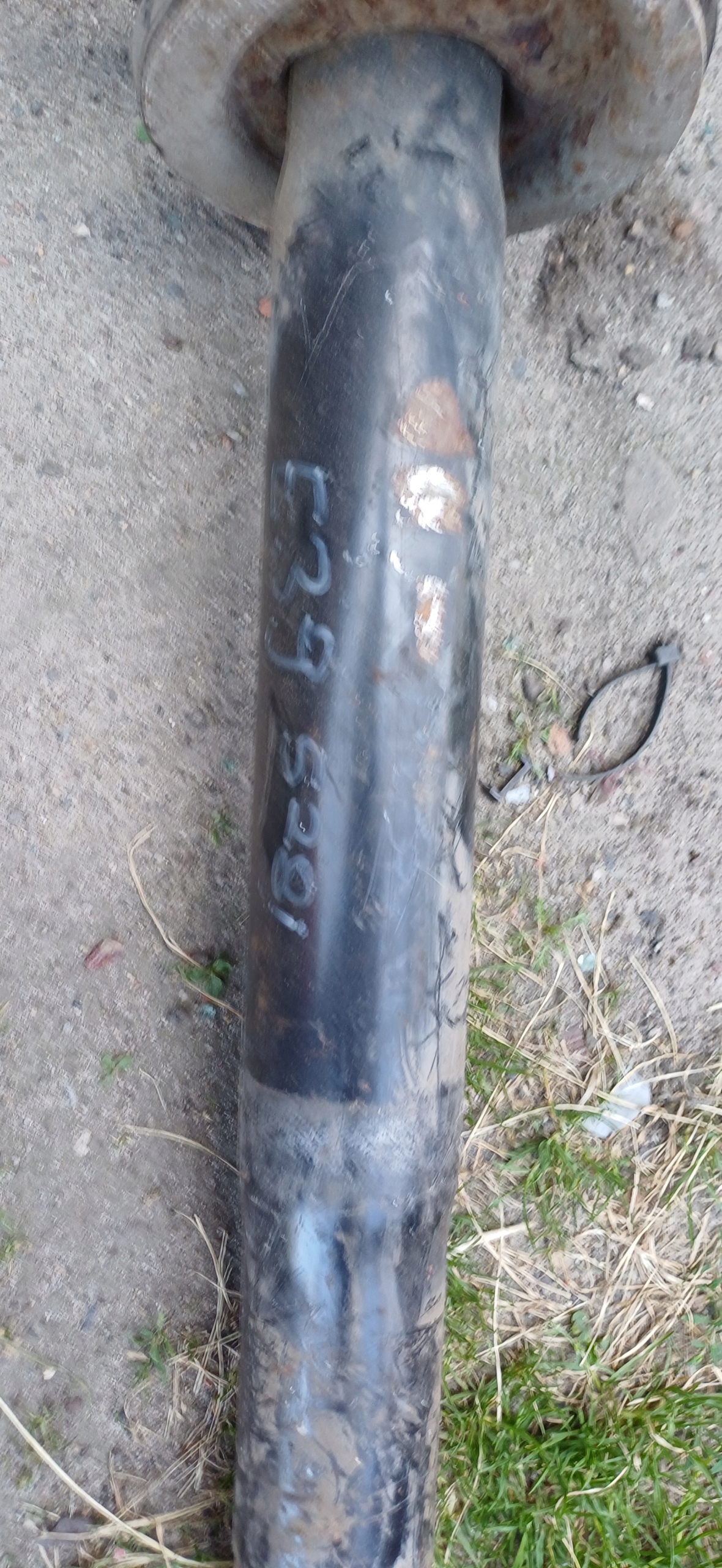 BMW 5 E39 528I shock absorber spring MCPERSON front