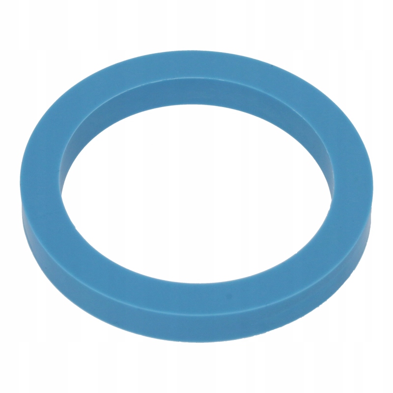 Gaggia uszczelka głowica kolbowy