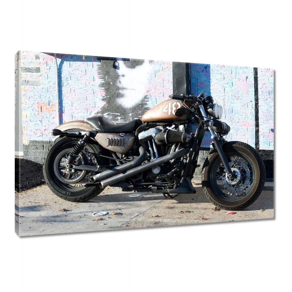 

Obrazy 90x60 Potężny motocykl