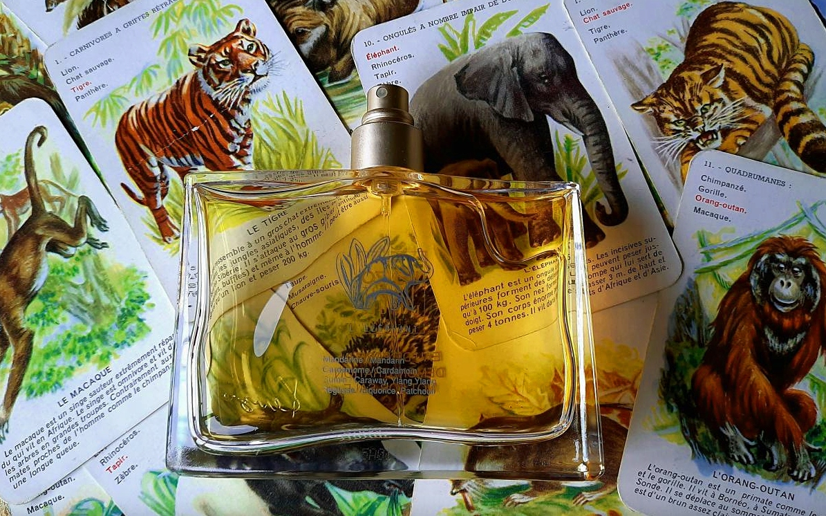 Kenzo jungle le élephant 100ml woda perfumowana deals