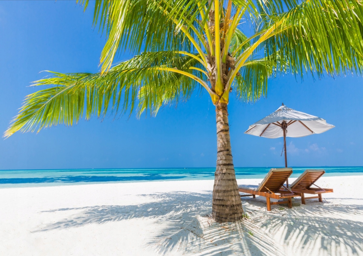 

Fototapeta Flizelinowa Tropikalna plaża 312x219