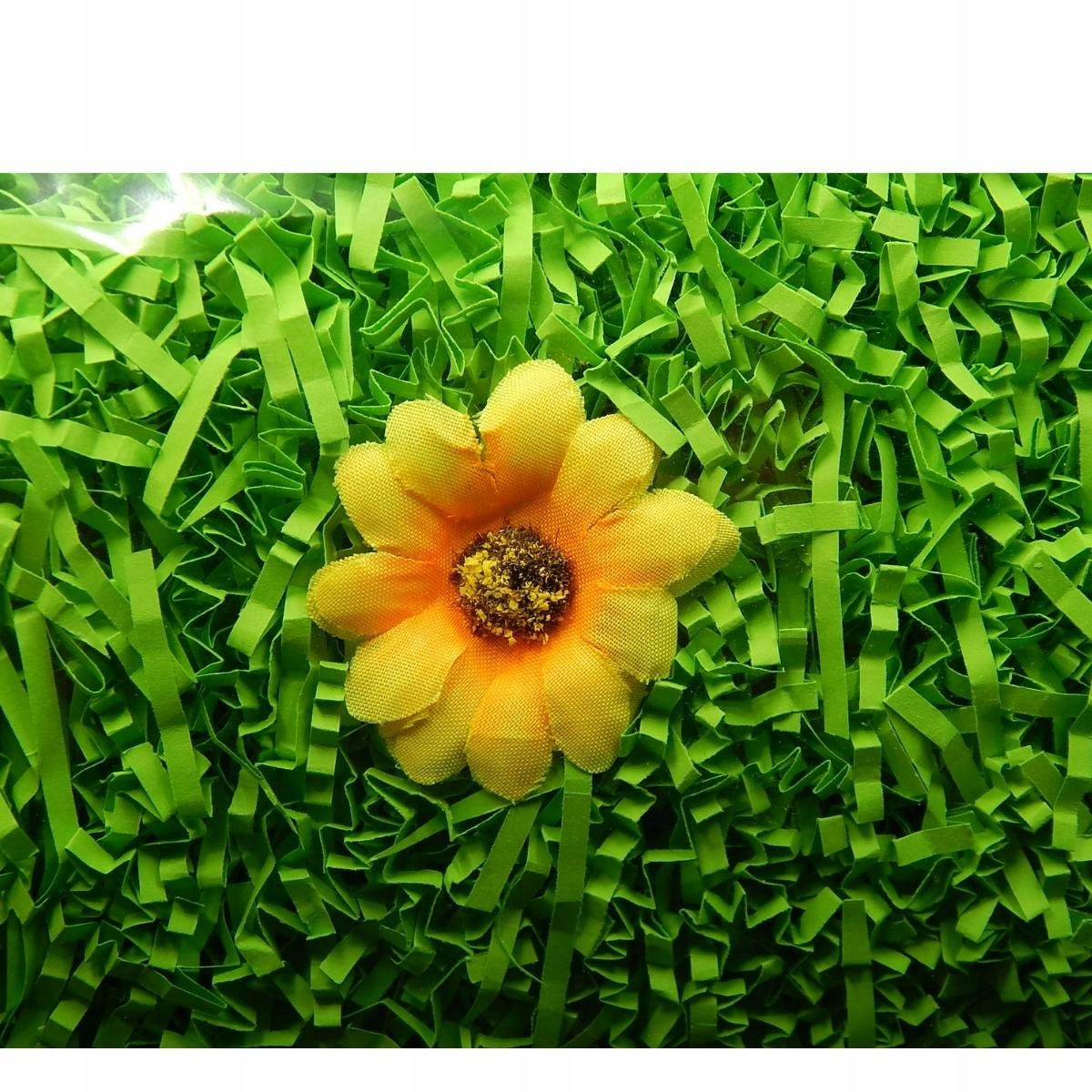 Wypełniacz Naturalny Dekoracyjny 5 kg Zieleń Trawy Marka Siima