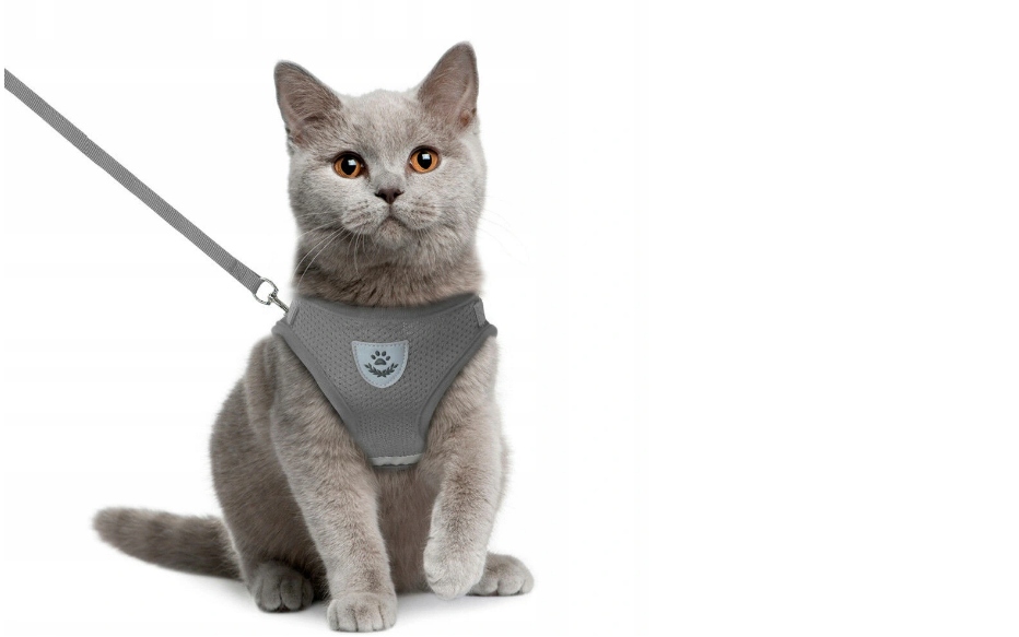 SZELKI SPACEROWE BEZUCISKOWE DLA KOTA + SMYCZ REGULOWANE ODBLASK ROZMIAR S Materiał materiał