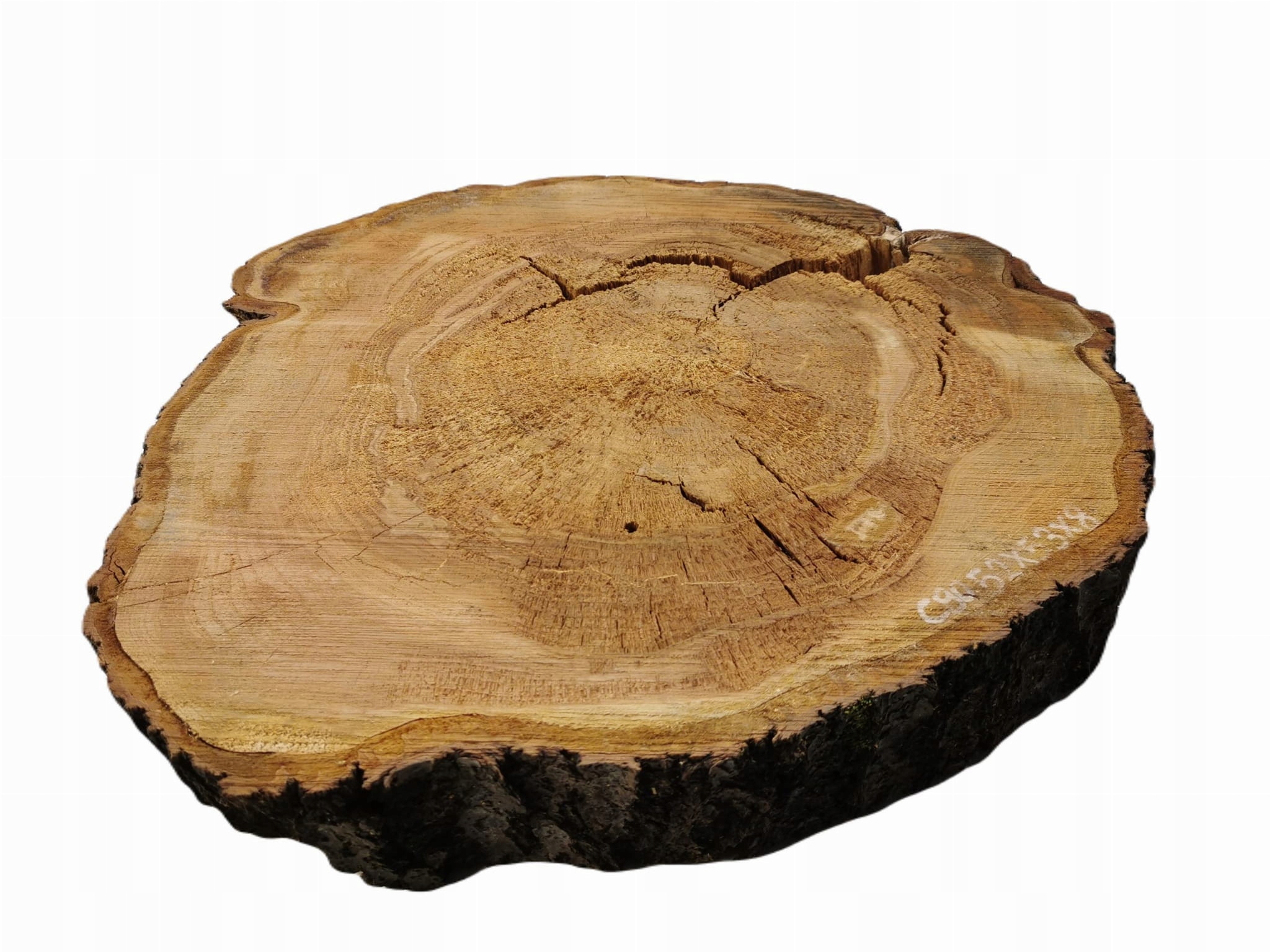 Plaster Czereśni 52x53 Blat Stół Taca Blat Stolik Marka Inna