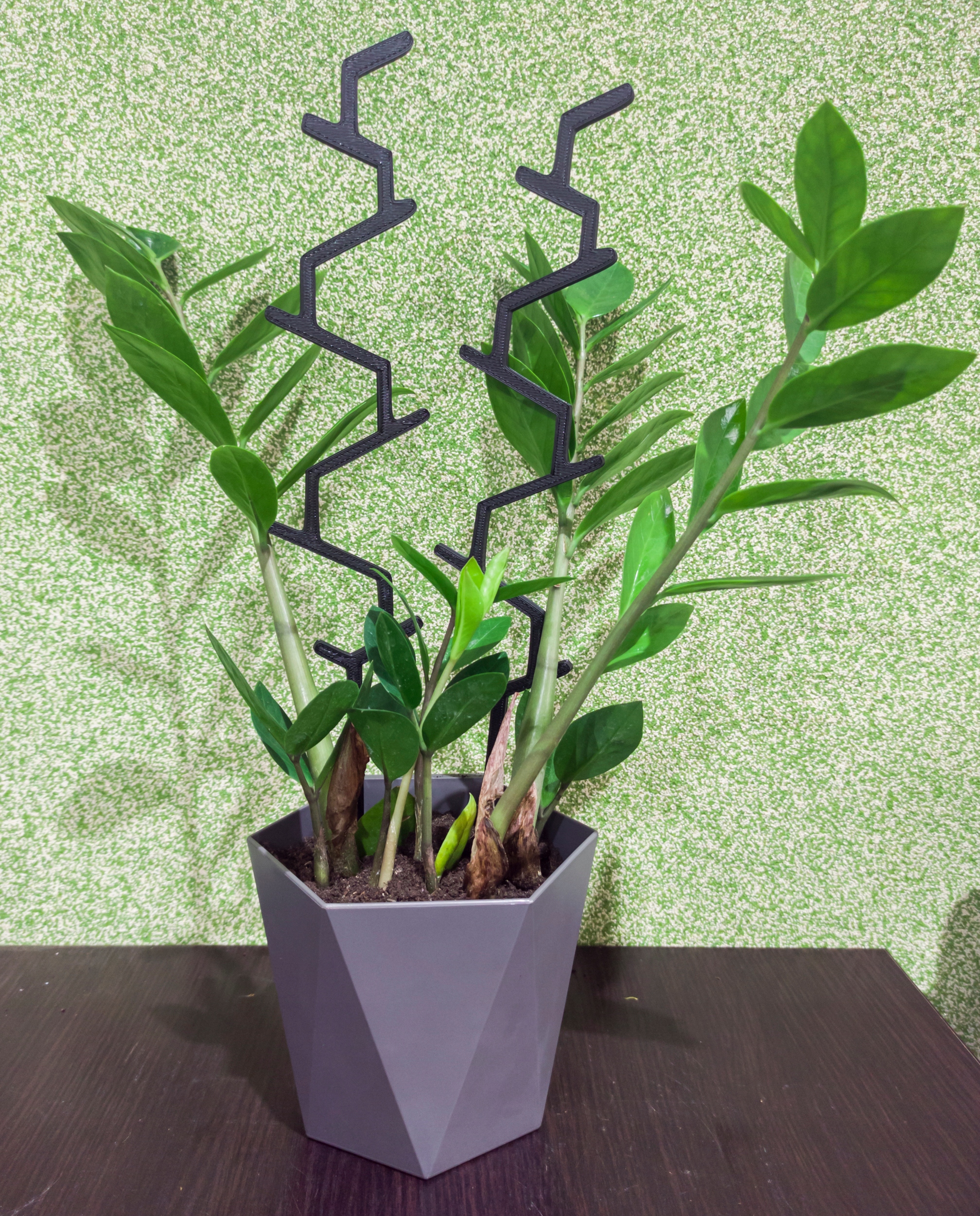 2X PODPÓRKA KWIATÓW ROŚLIN DRABINKA STORCZYK 38cm Rodzaj drabinka