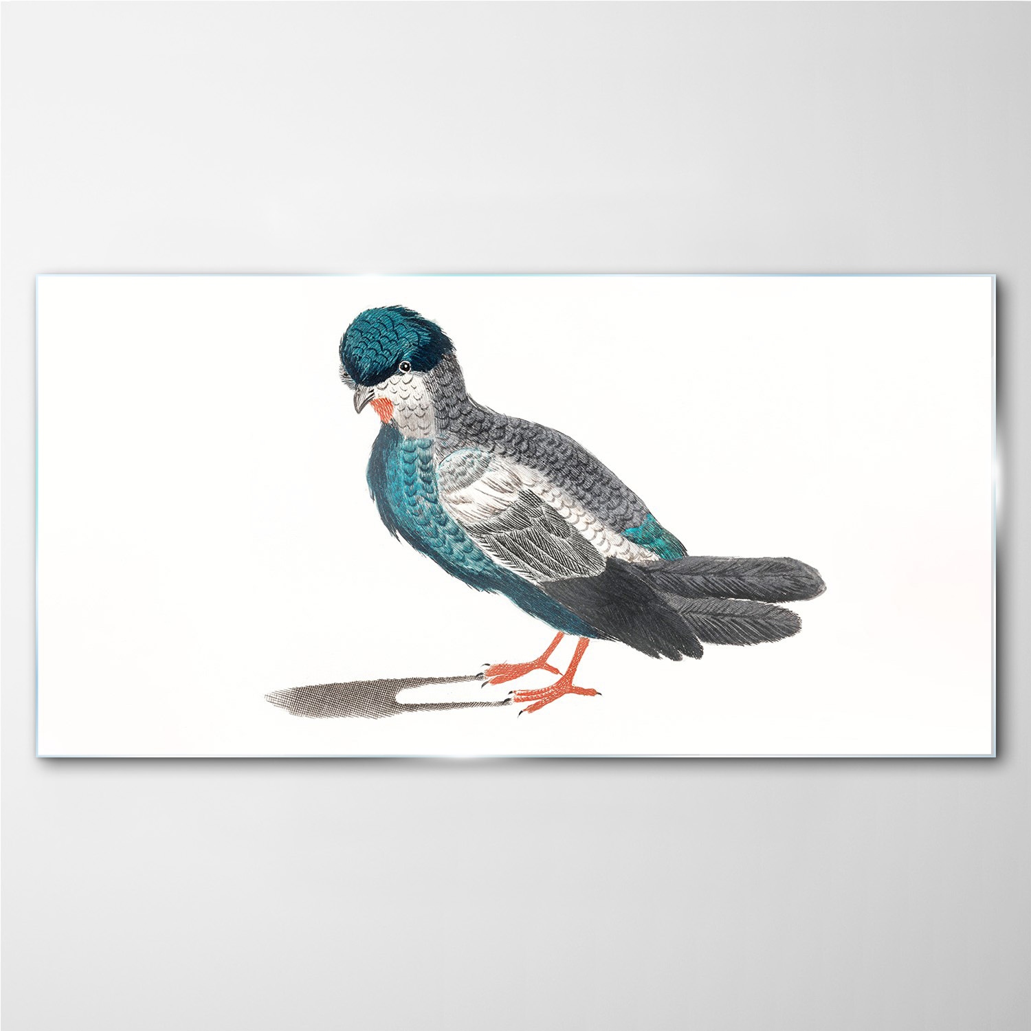 

Obraz na ścianę szklany Zwierzę ptak 140x70 cm