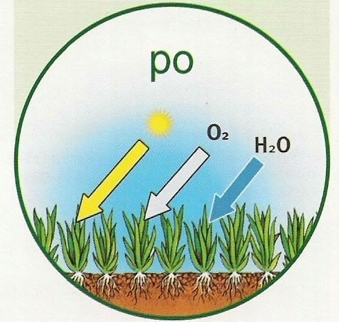 GARDENA 3391 Aerator Wertykulator do trawy na trzonek CombiSystem Regulacja głębokości roboczej bez regulacji