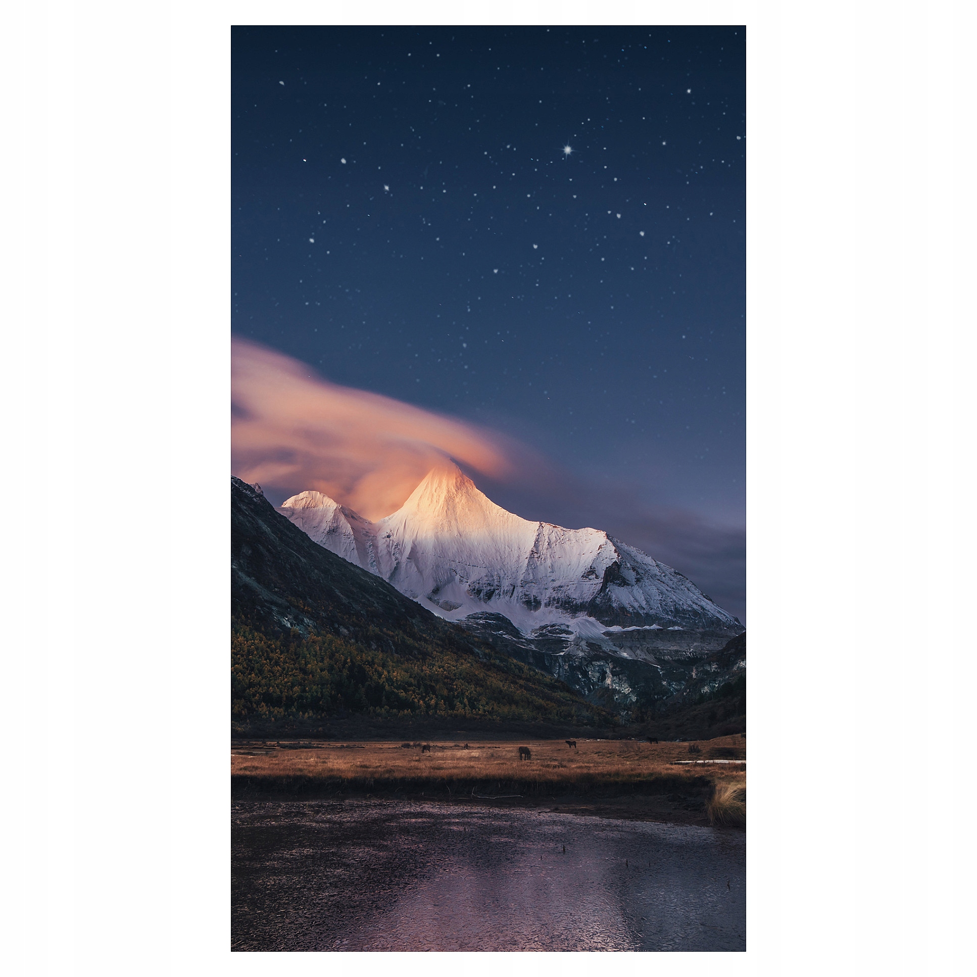 Monitor Samsung LH55VMCEBGBXEN czarny 55 