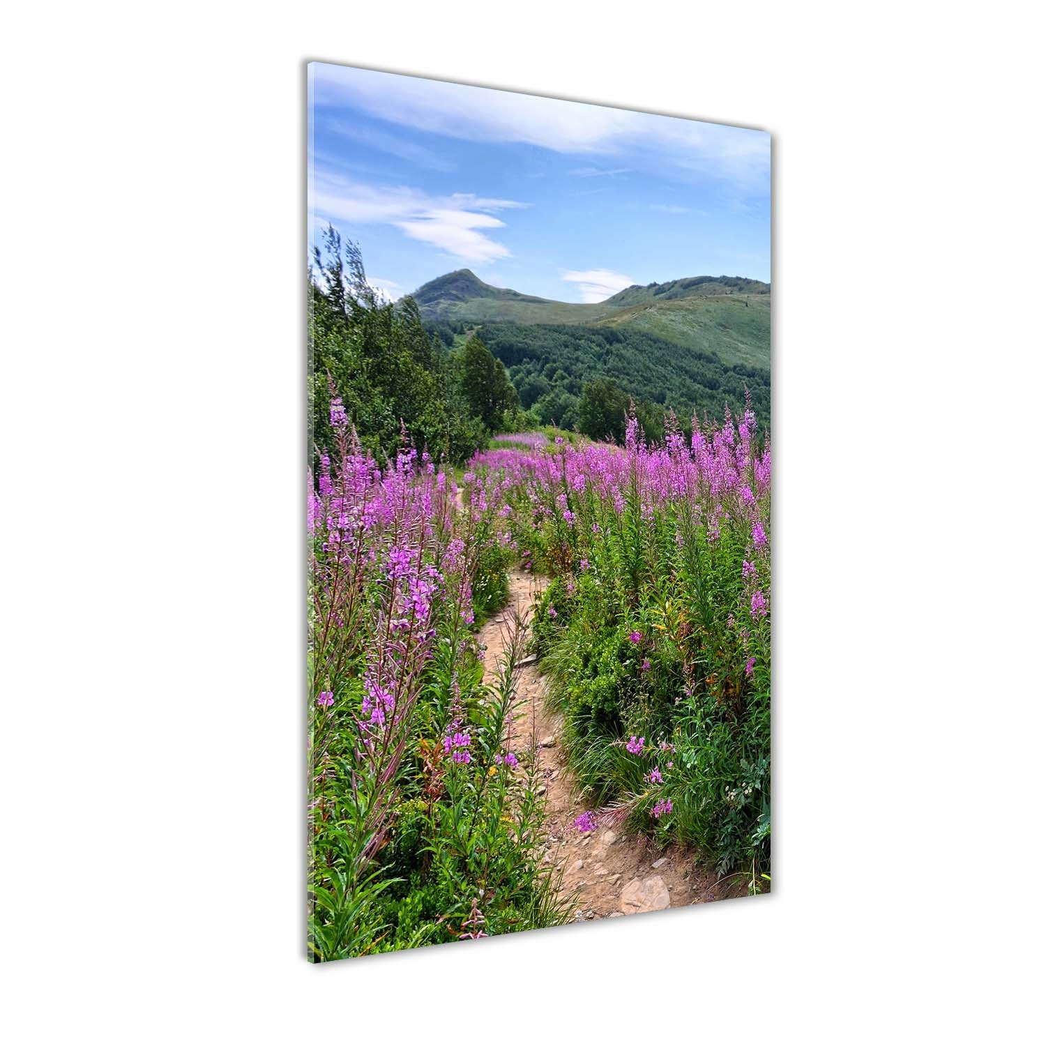 

Foto obraz akrylowy na ścianę Bieszczady 60x120cm