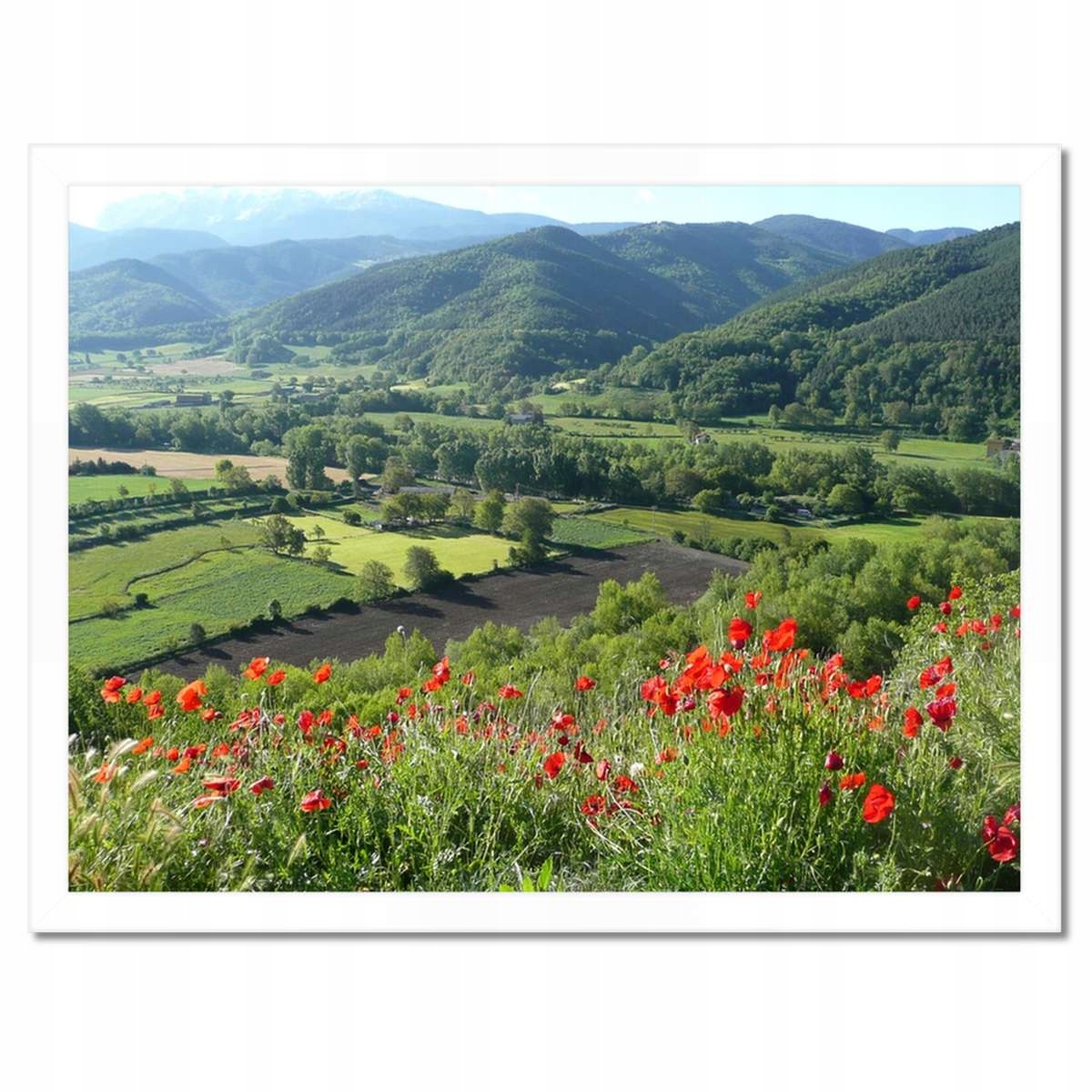 Plakáty v rámu 40x30 Květinový výhled v horách