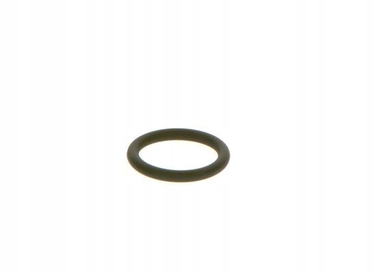 PIERSCIEN GUMOWY F 00R J01 605 BOSCH