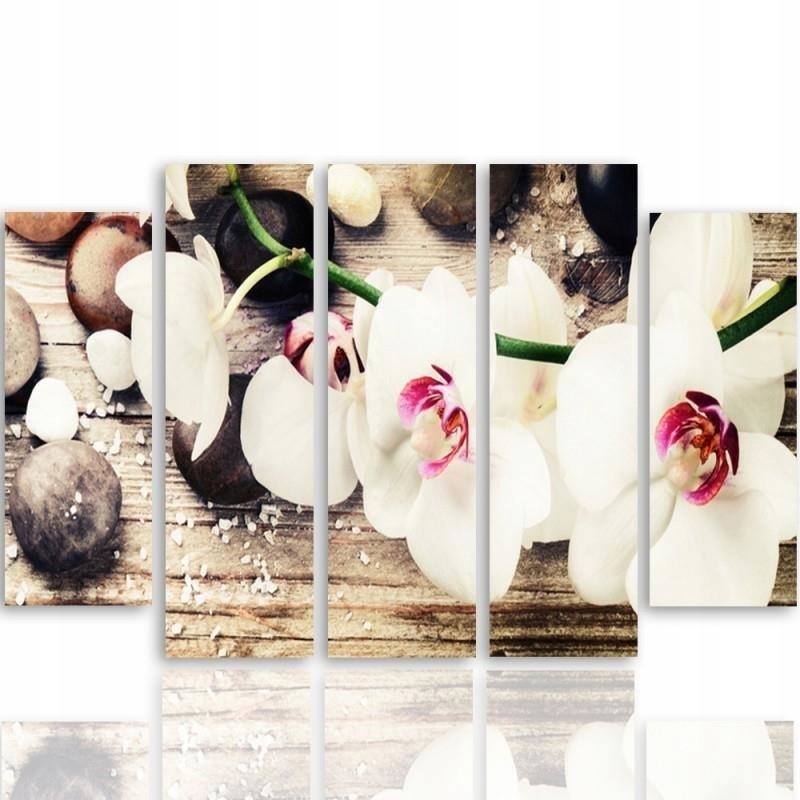

Obraz 5 Części Biała Orchidea Do Salonu 150x100