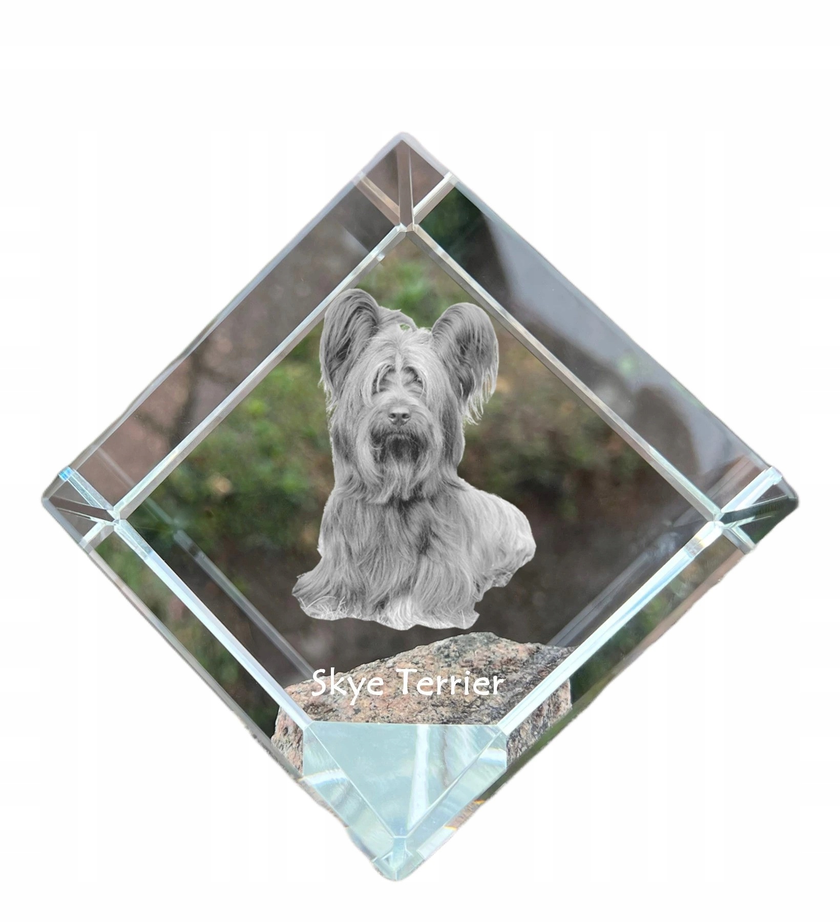 Skye Terrier krištáľová kocka s fotografiou psa, ozdoba na stôl, tlačidlo