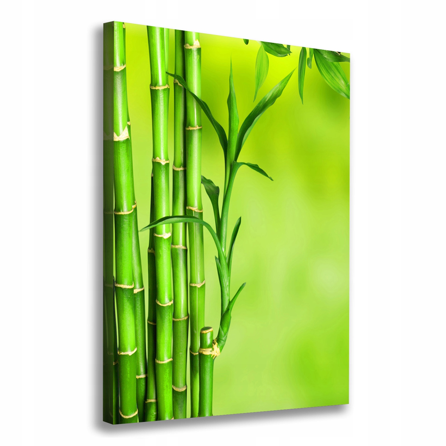 

Nowoczesny fotoobraz canvas na ramie Bambus 70x100