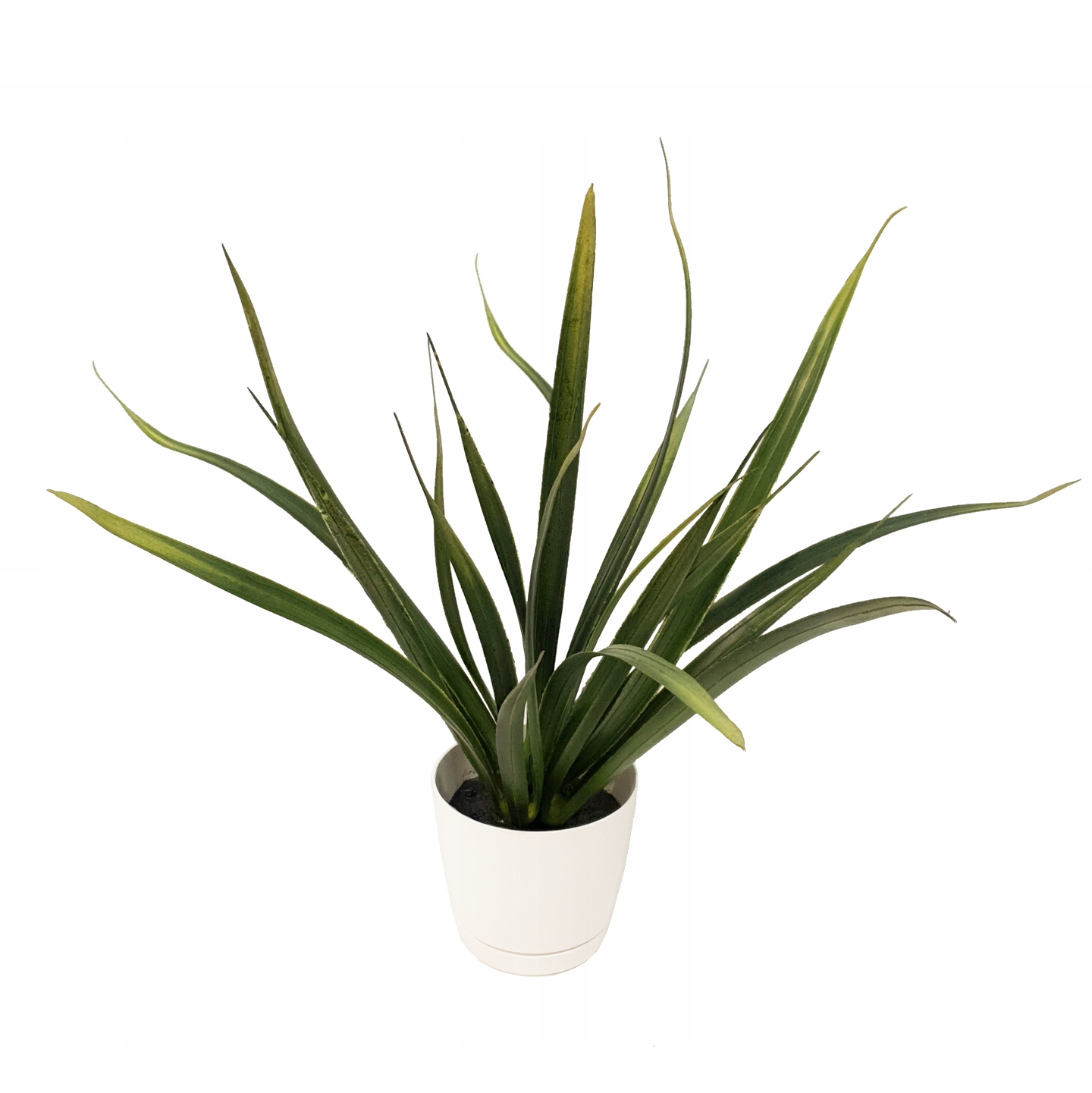 

Sztuczna Trawa Zielona w Doniczce Dracena Roślina