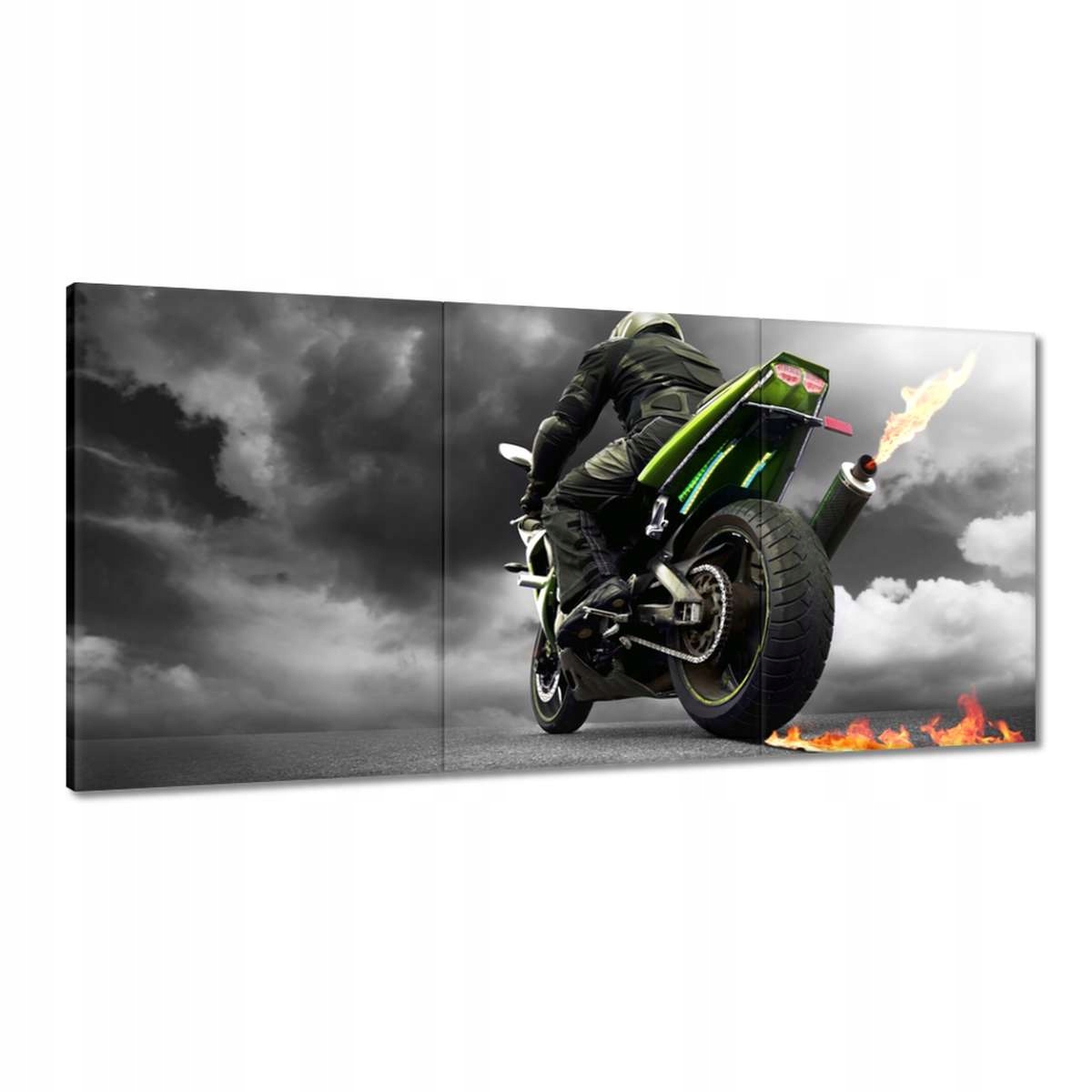 Obrazy 180x90 Zelený pretekár