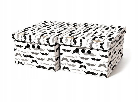 Pudełko kartonowe ozdobne PUDŁO wąsy A4 2szt