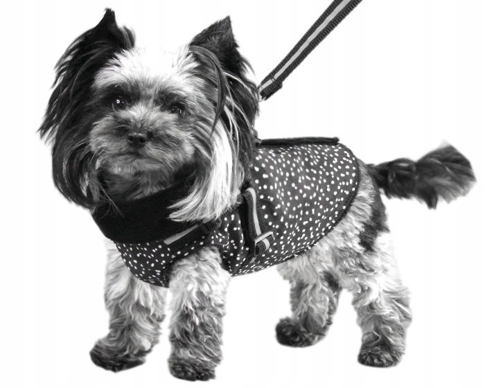 Obleček pro psa yorka chihuahua maltézského špice