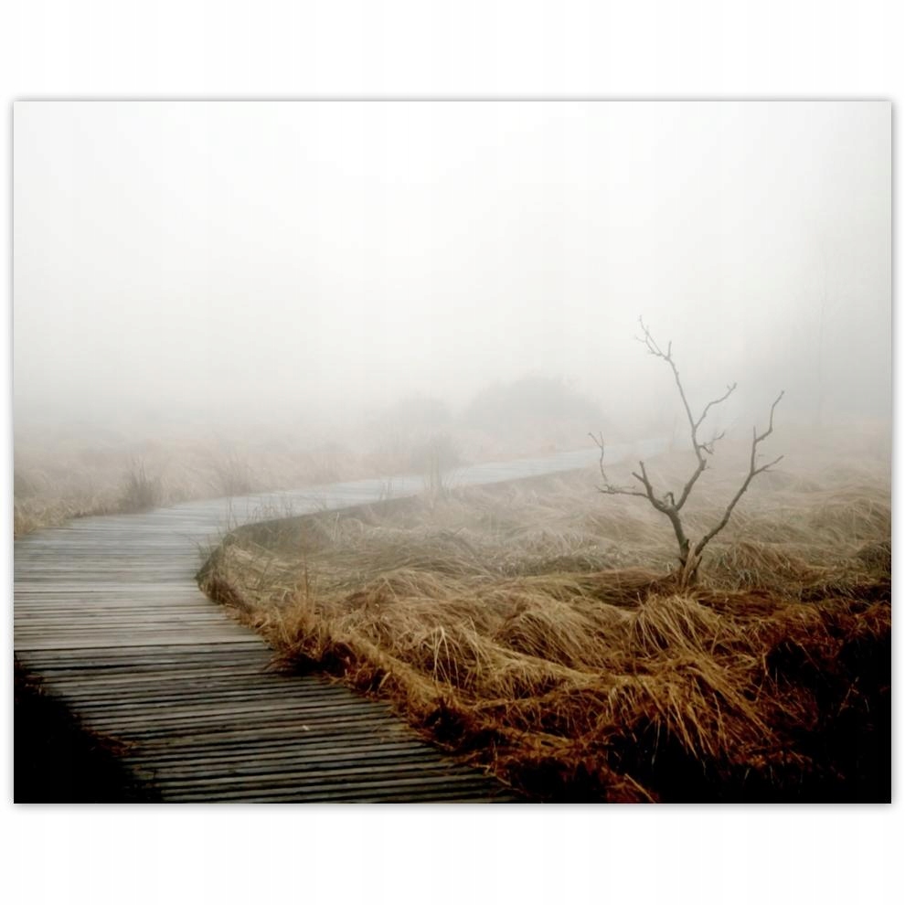 

Plakat 50x40 Rześki poranek