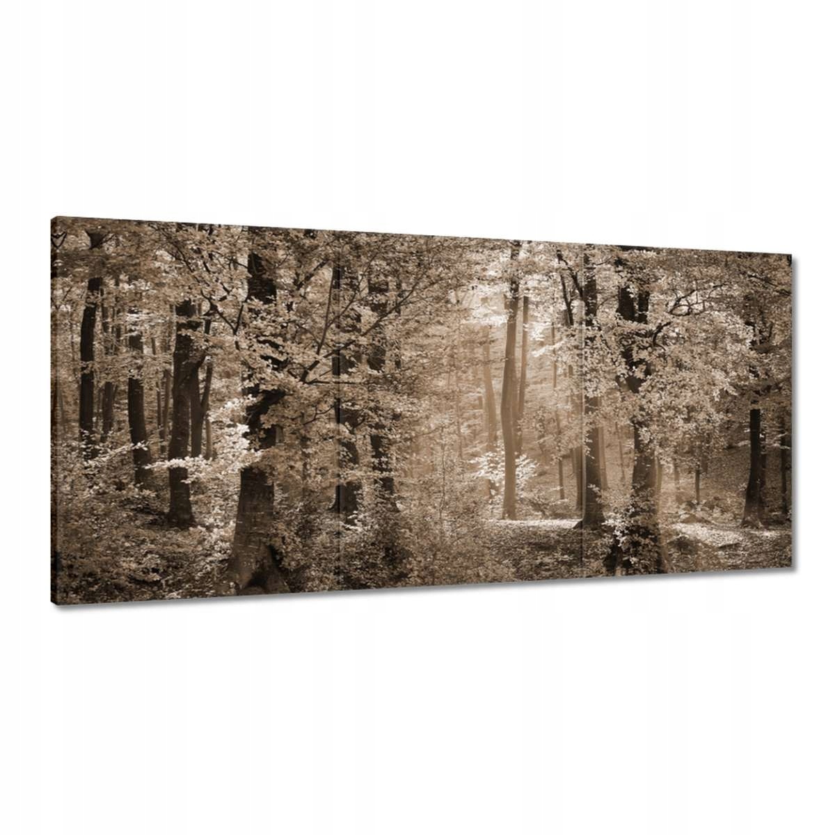 Obrazy 180x90 Les v sépiovej farbe