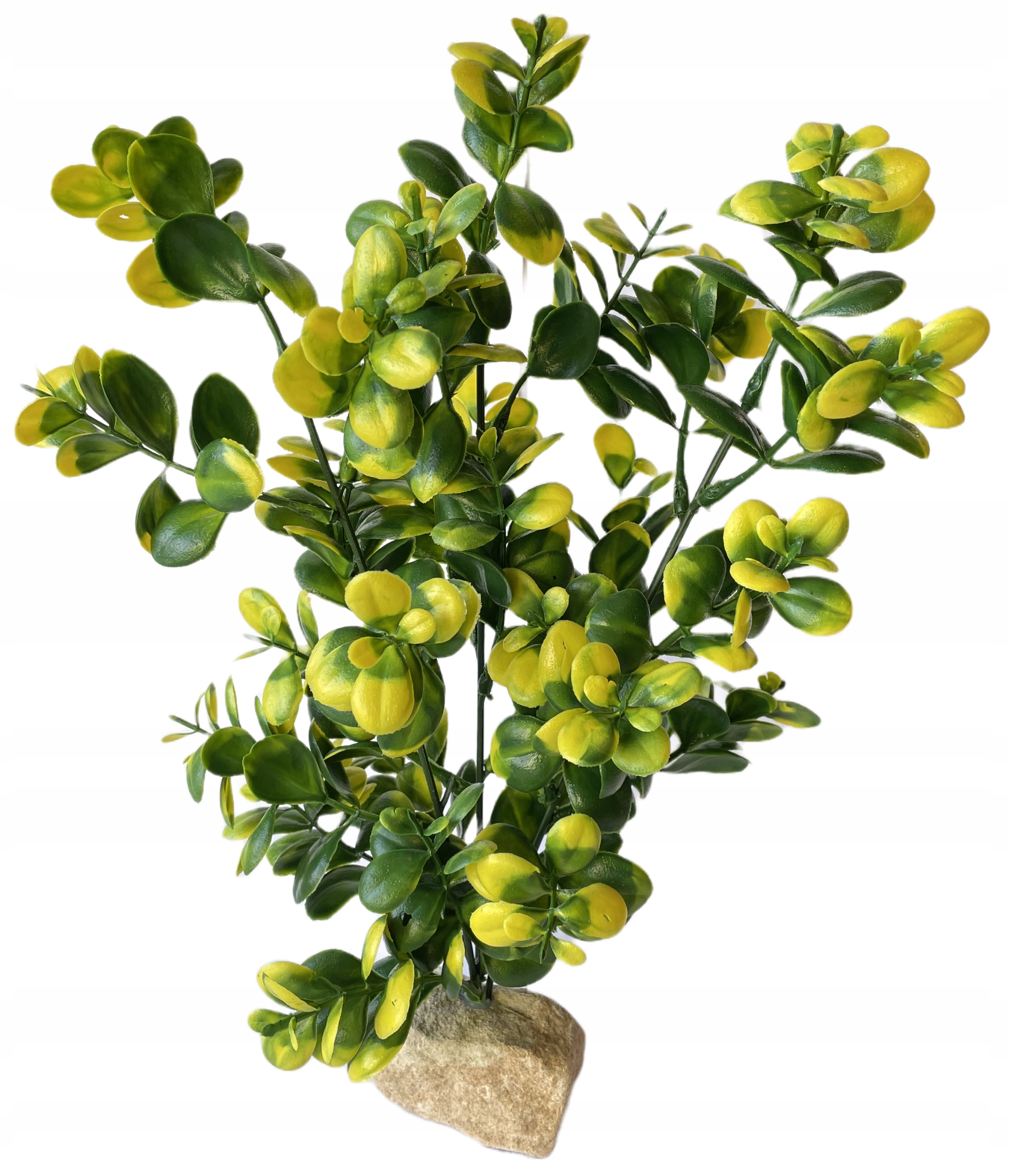 

Roślina Roślinka Do Akwarium Terarium Sztuczna XXL