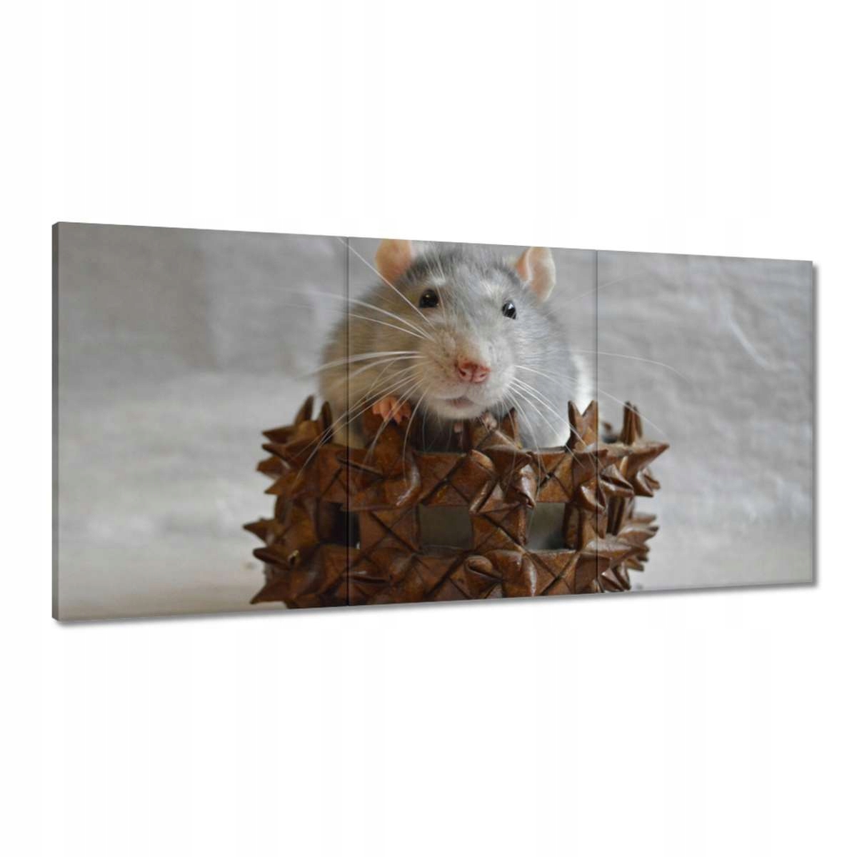 Obrazy 180x90 Krysař