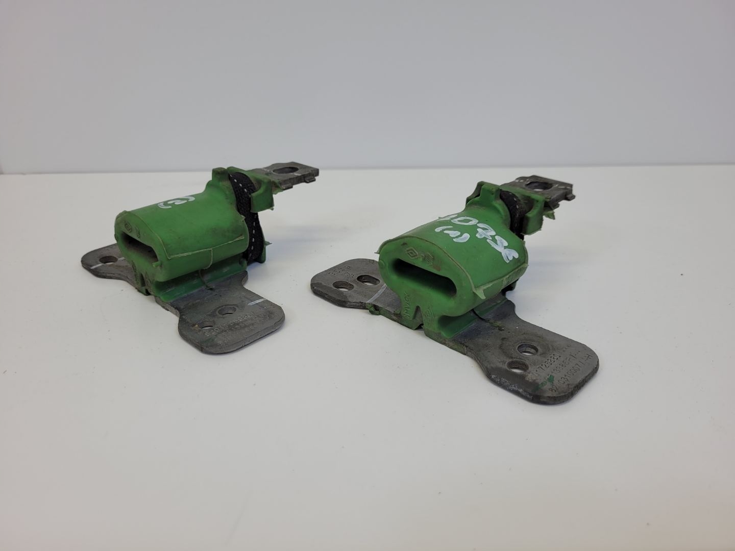 Support plaque Renault Scenic 4 2019 206513385R